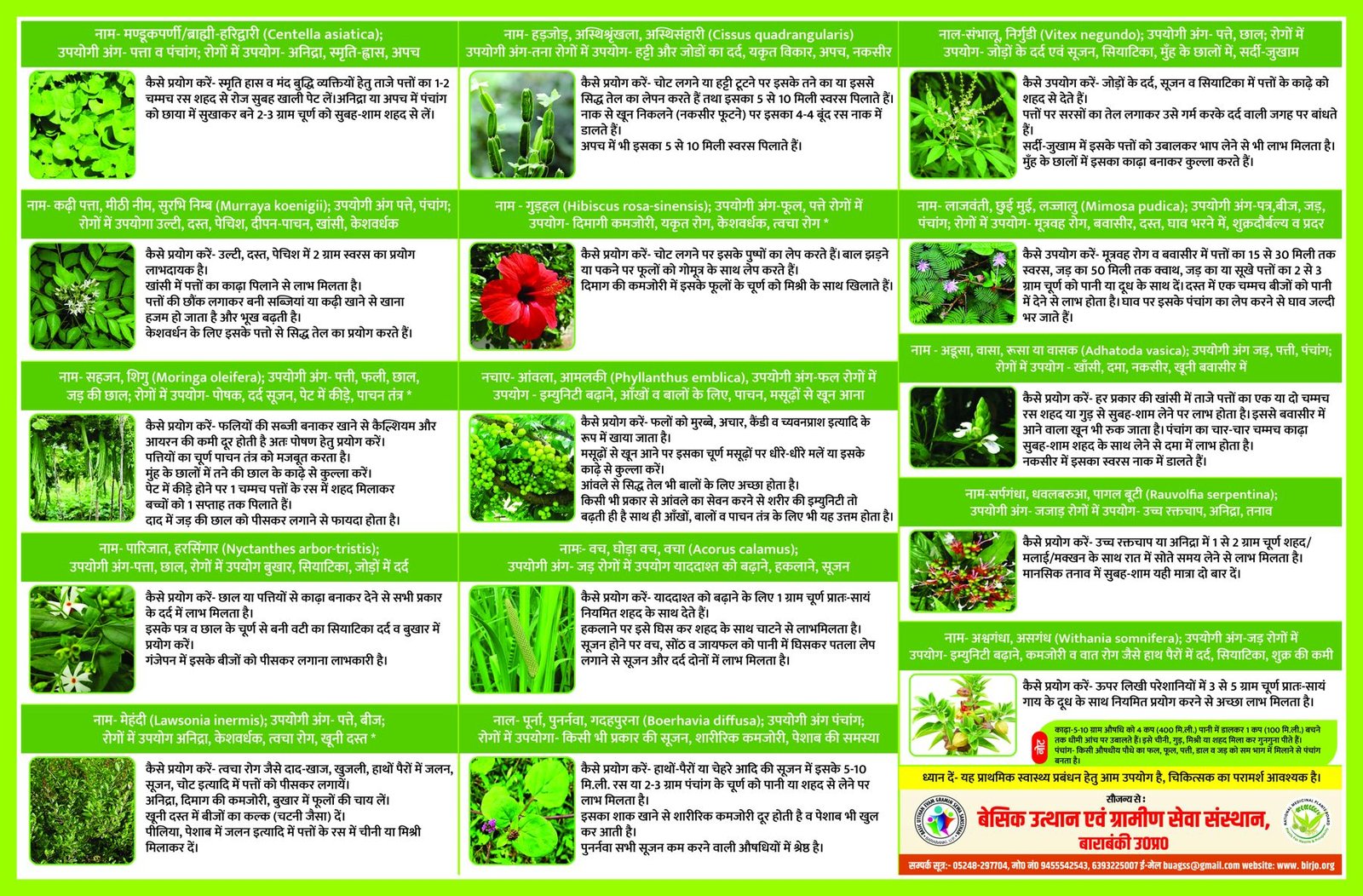 School Herbal Garden medicinal plants reference chart, page 3