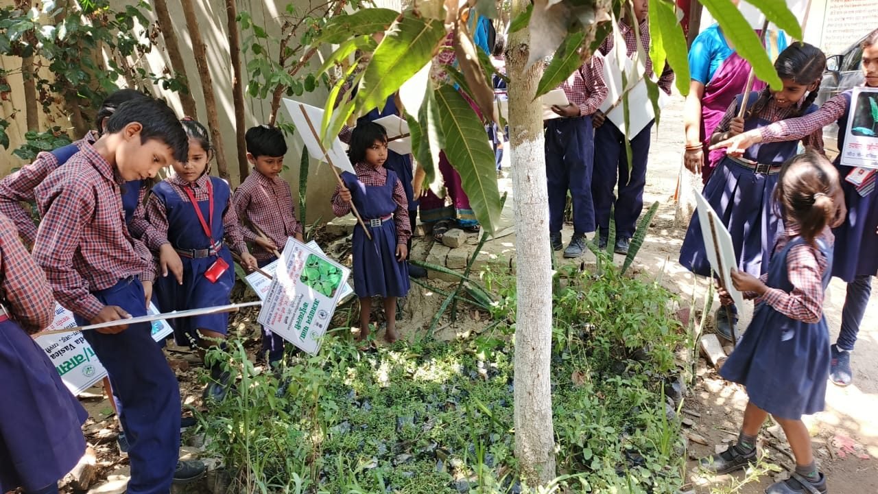 School Herbal Garden activity photo