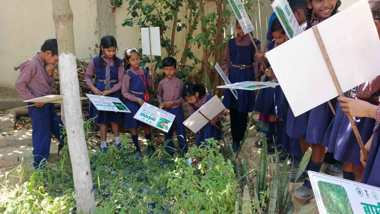 School Herbal Garden activity photo
